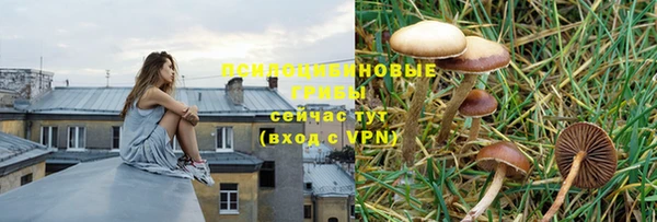 стаф Абдулино