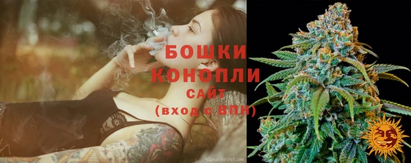 PSILOCYBIN Осташков