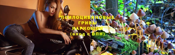 прущий лед Абинск